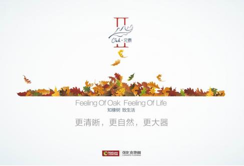 大自然地板“OAK II”相約順德，正式發(fā)布.jpg