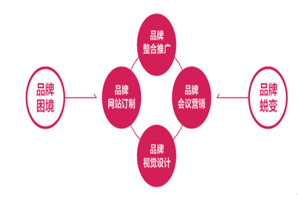 網(wǎng)絡(luò)“視頻營(yíng)銷”—品牌營(yíng)銷的新寵