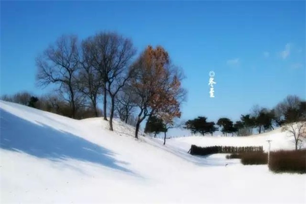冬至如期而至，你是否如約而至？